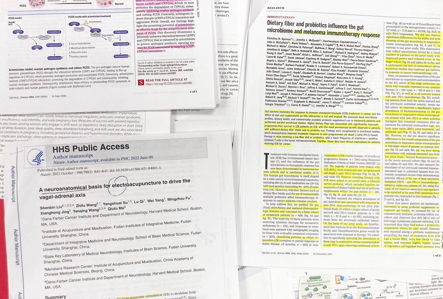 A stack of scholarly papers in the field of integrative medicine, with specific phrases highlighted in pink and yellow.